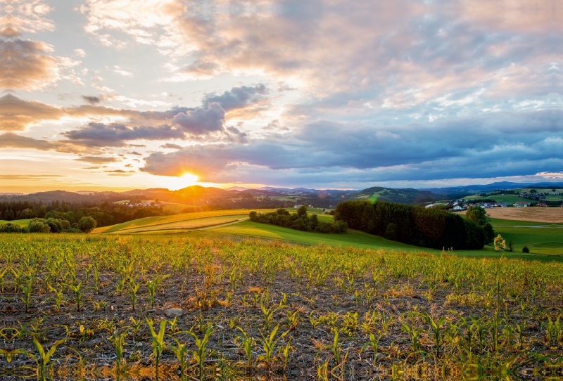 Sonnenuntergang in Hutthurm