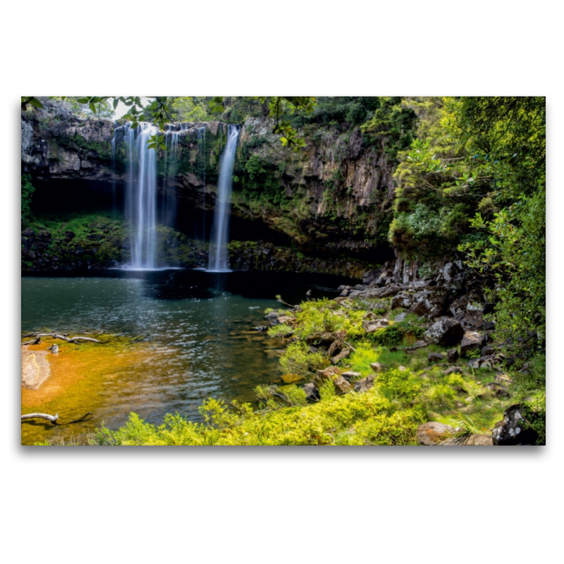 Rainbow Falls - Kerikeri