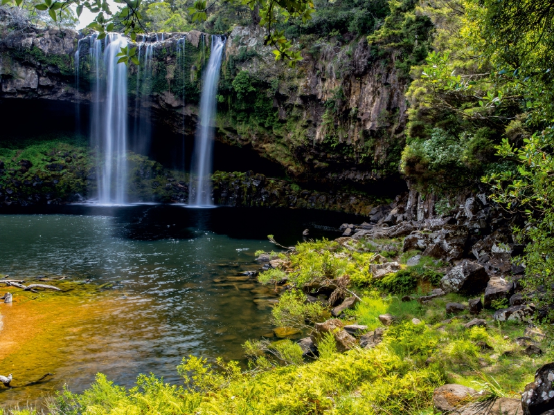 Rainbow Falls - Kerikeri