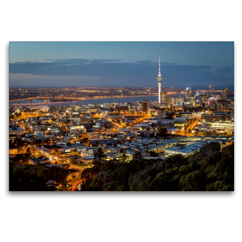 Auckland Skyline