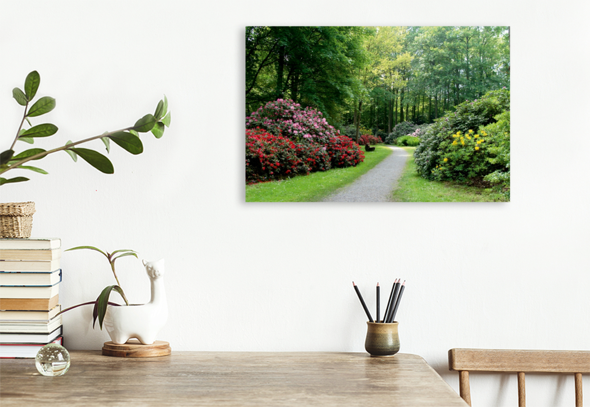 Rhododendronwald in Bad Sassendorf