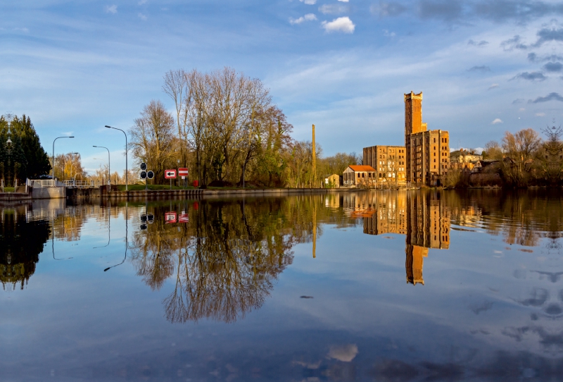 Halle an der Saale