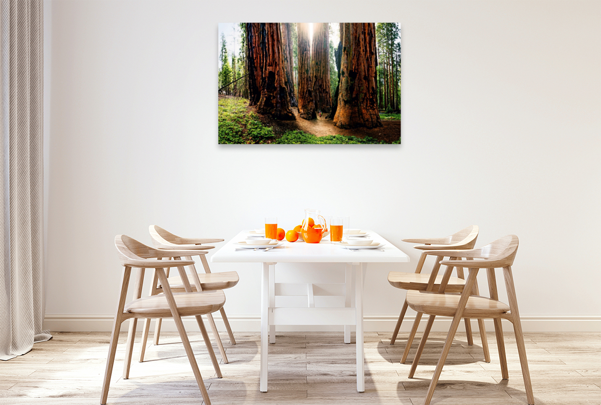 Giant Forest, Sequoia Nationalpark, Kalifornien, USA