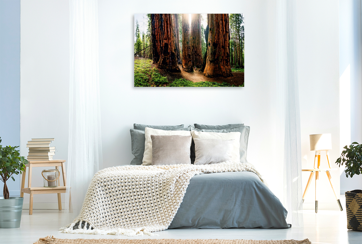 Giant Forest, Sequoia Nationalpark, Kalifornien, USA