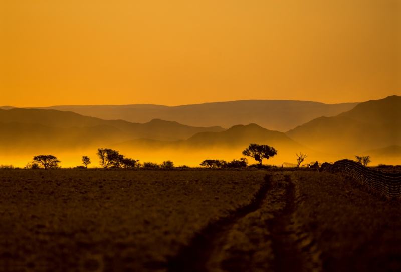 Abendstimmung in der Namib