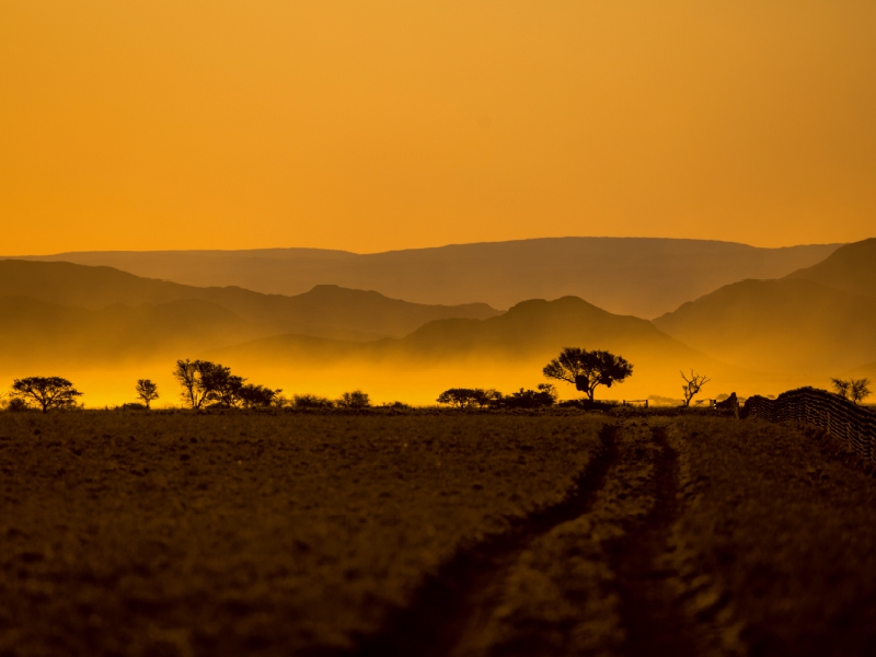 Abendstimmung in der Namib