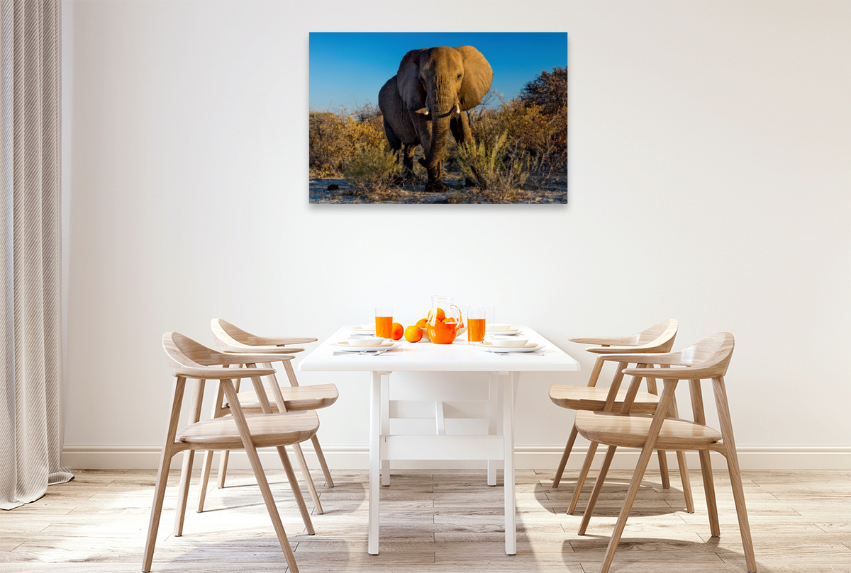 Elefant in Etosha