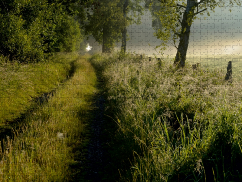 Feldweg am frühen Morgen