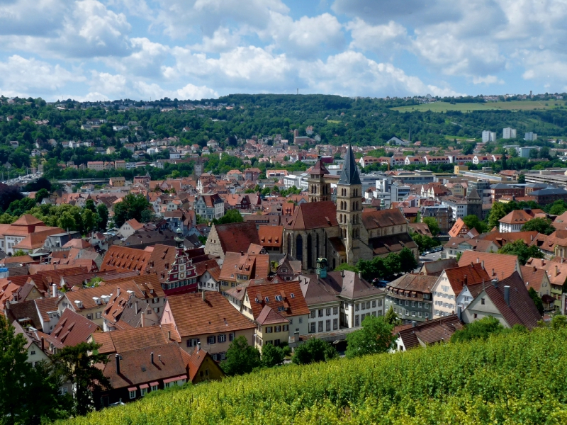 Blick auf Esslingen am Neckar