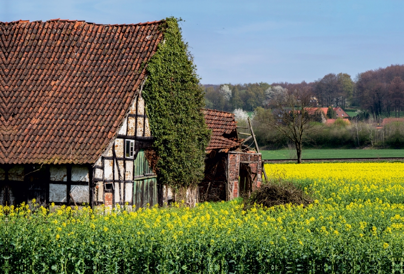 Verlassenes Fachwerkhaus im Landkreis Osnabrück