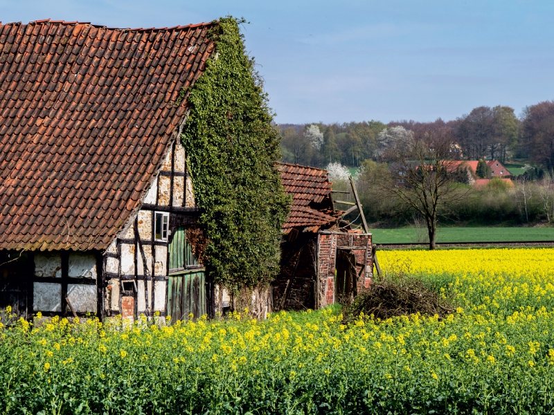 Verlassenes Fachwerkhaus im Landkreis Osnabrück