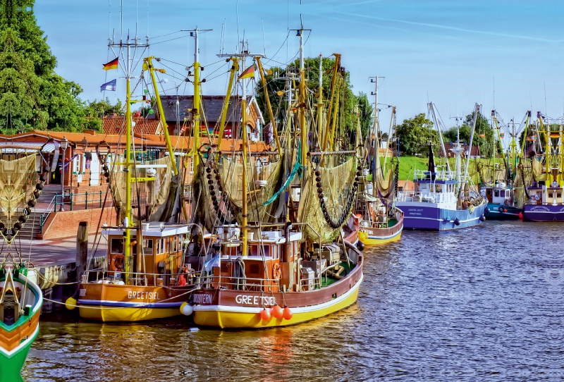 Die größte Krabbenkutterflotte Ostfrieslands