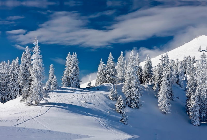 Dobratsch im Winter