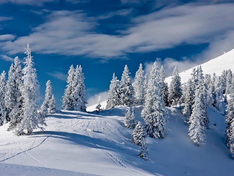 Dobratsch im Winter