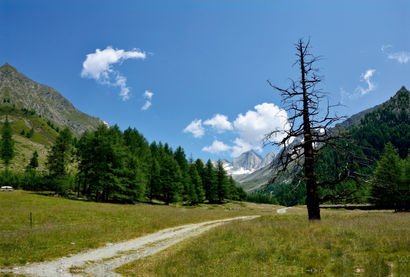 Pfossental mit Blick zum Hohen Weiße