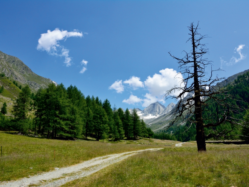 Pfossental mit Blick zum Hohen Weiße