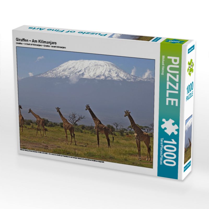 Giraffen – Am Kilimanjaro