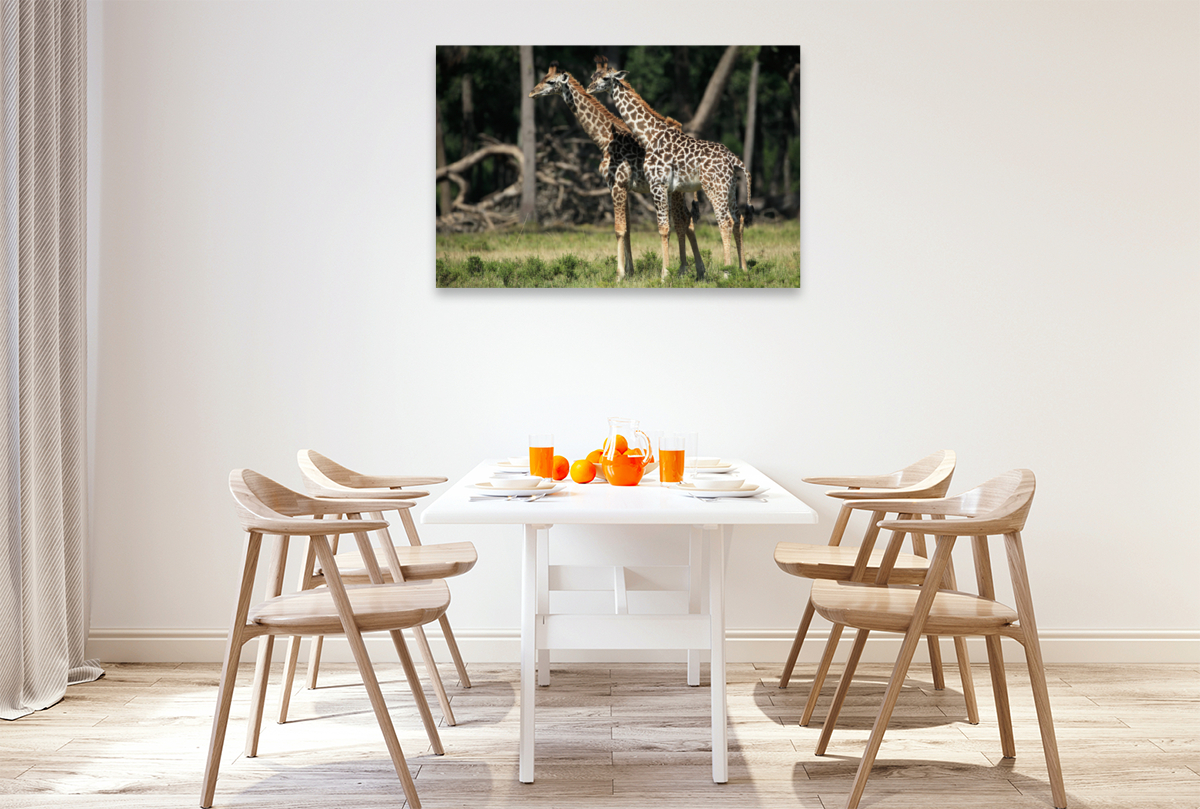 Giraffen – Zwillinge