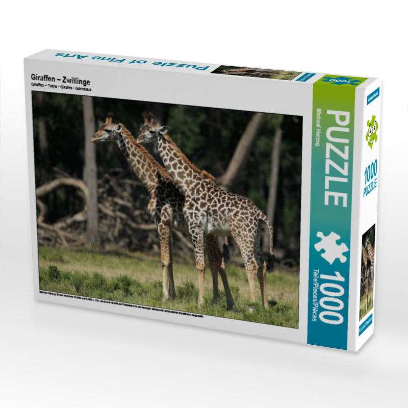 Giraffen – Zwillinge