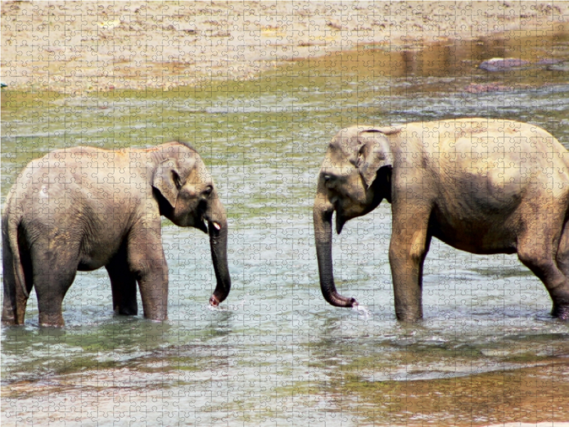 Ratnapura