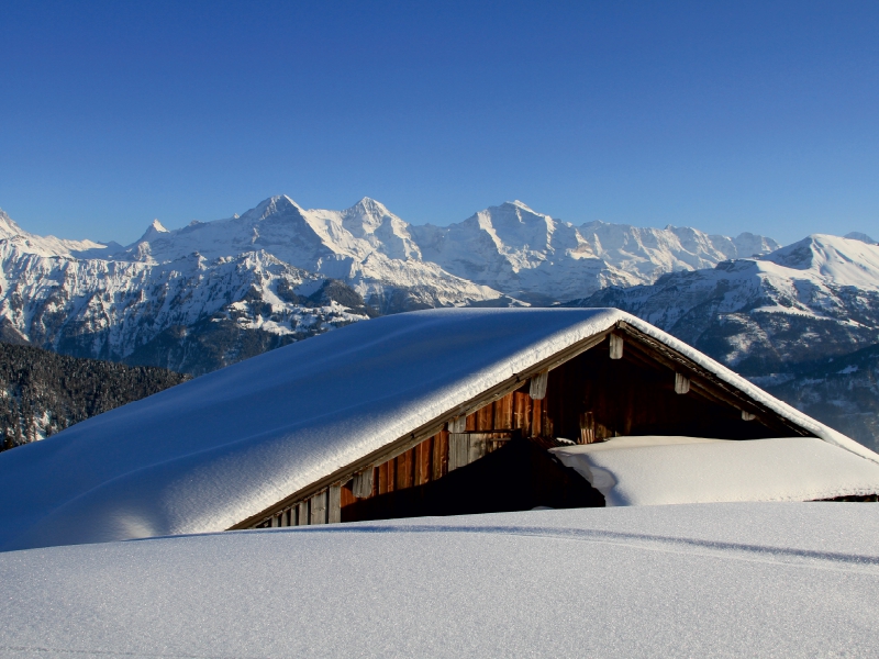 Wintermärchen - verschneite Almhütte - Eiger, Mönch, Jungfrau