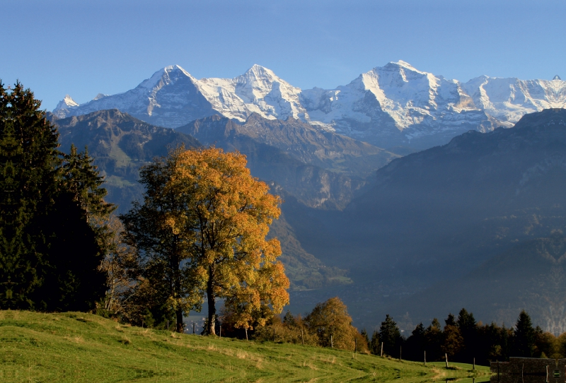 Beatenberg, Berner Oberland, Schweiz