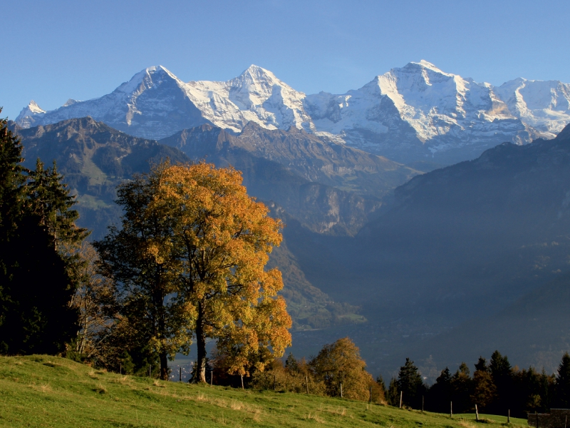 Beatenberg, Berner Oberland, Schweiz