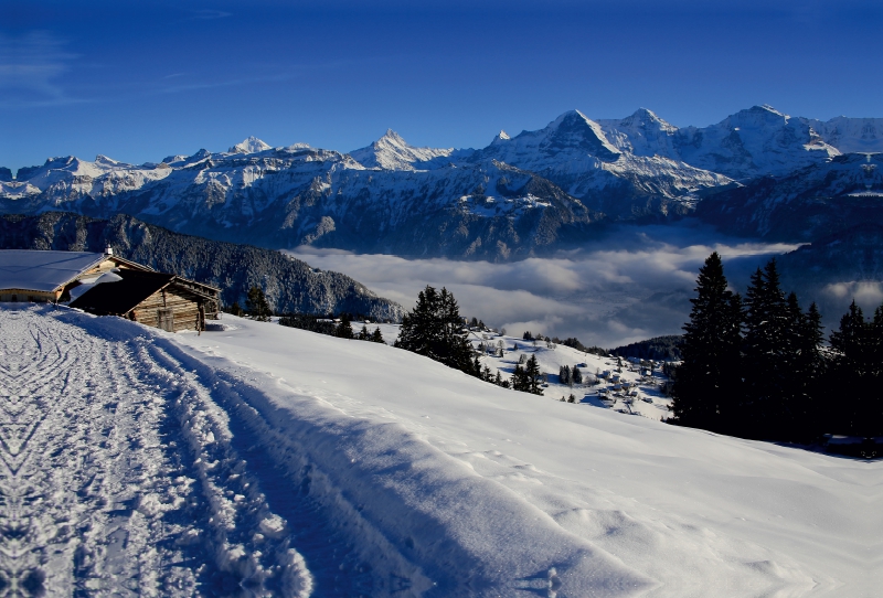 Niederhorn, Beatenberg, Schweiz