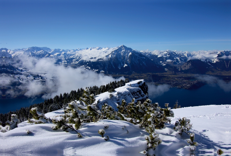 Niederhorn, Berner Oberland, Schweiz