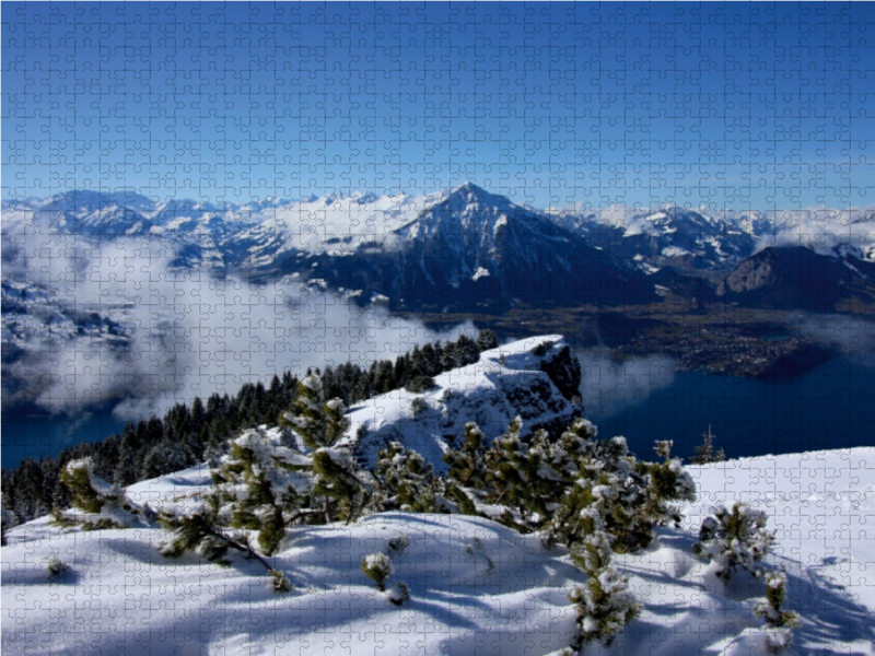 Niederhorn, Berner Oberland, Schweiz