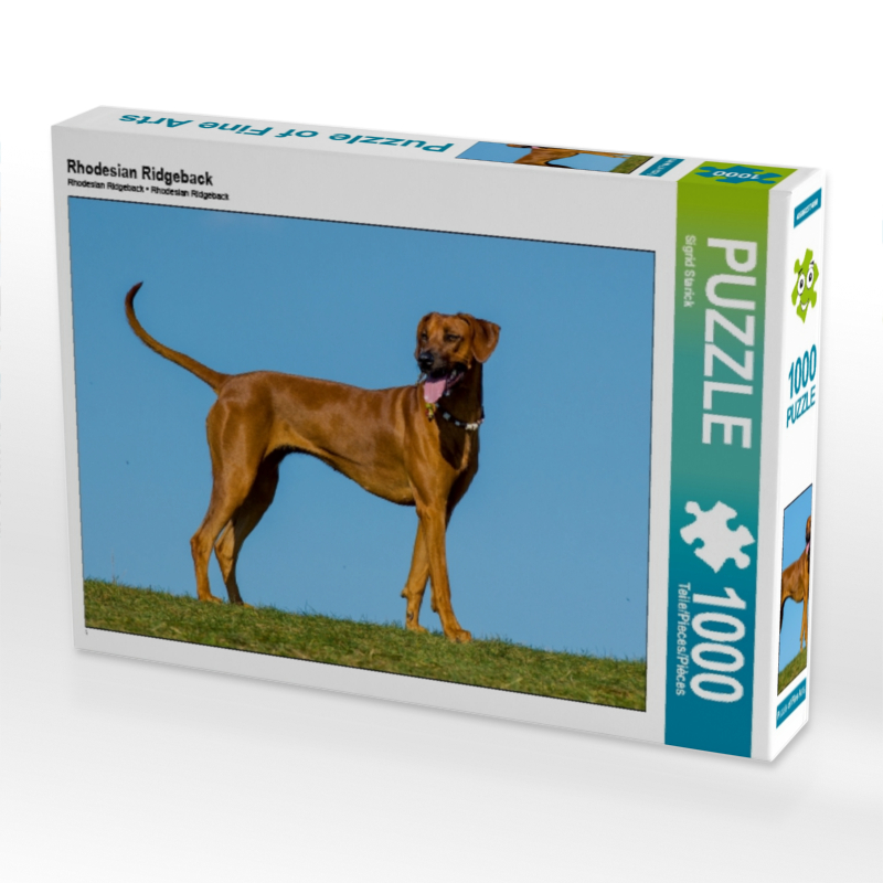 Rhodesian Ridgeback