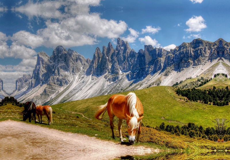 Geisler Gruppe - Raschötzalpe - Gröden Dolomiten