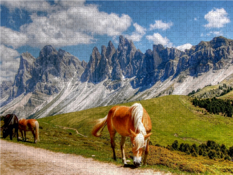 Geisler Gruppe - Raschötzalpe - Gröden Dolomiten