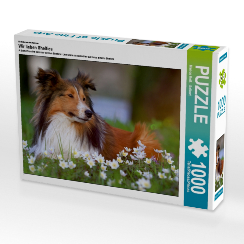 Ein Motiv aus dem Kalender Wir lieben Shelties