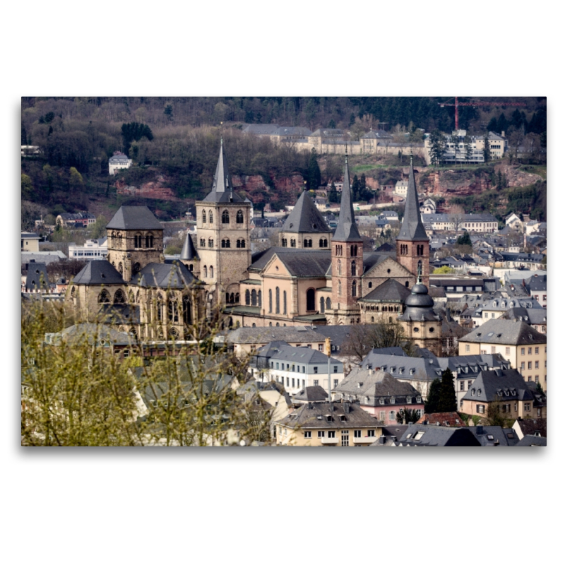 Blick vom Petrisberg auf den Dom