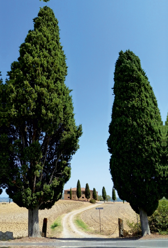 Toskanisches Haus I Cipressini