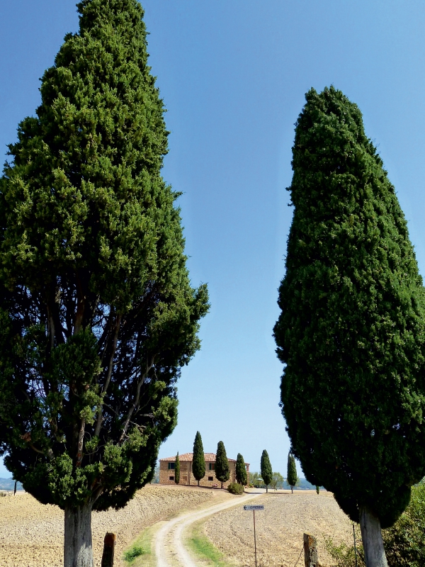 Toskanisches Haus I Cipressini