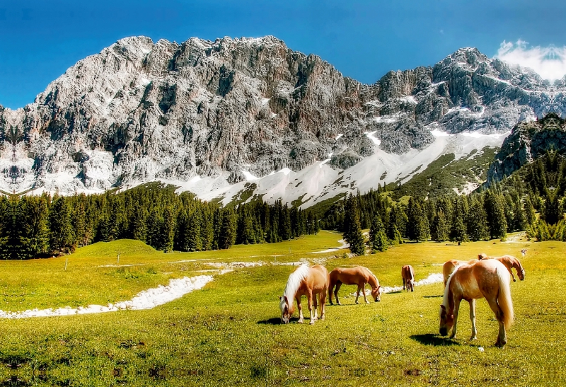 Zugspitze - Tirol - Ehrwald - Österreich