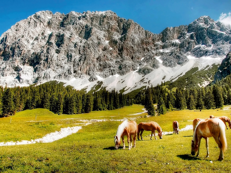 Zugspitze - Tirol - Ehrwald - Österreich