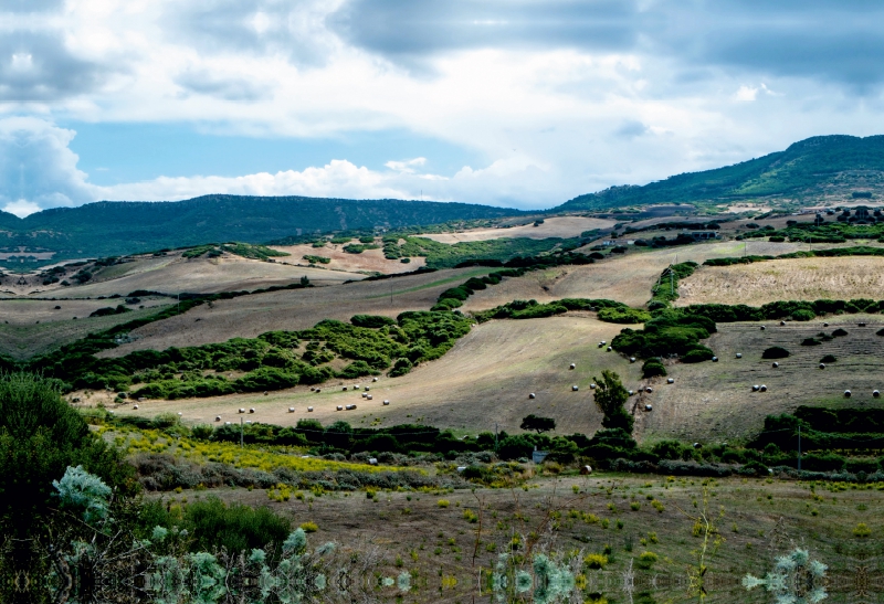 Herbstliche Felder auf Sardinien