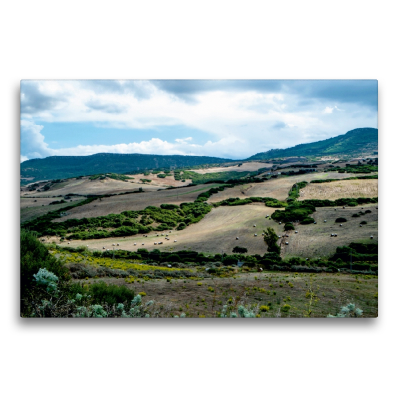 Herbstliche Felder auf Sardinien