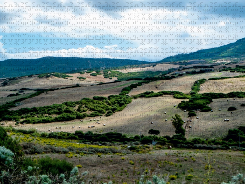 Herbstliche Felder auf Sardinien