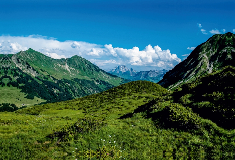 Am Furkapass, Alpen