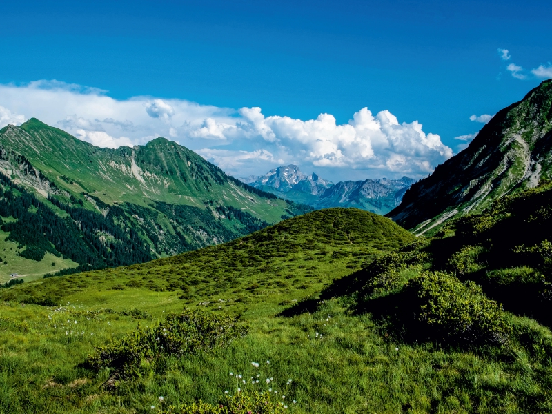 Am Furkapass, Alpen