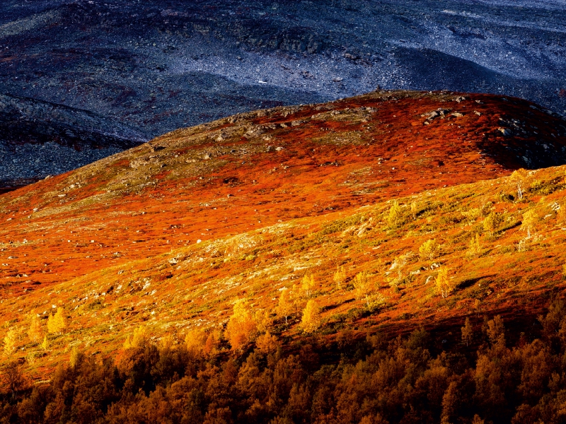 Indian Summer in Gasbu, Norwegen