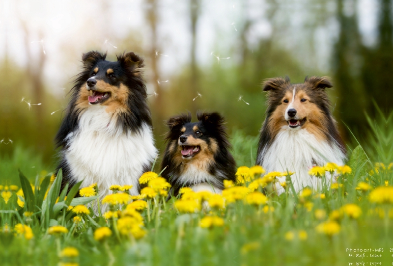 Frühling im Anflug