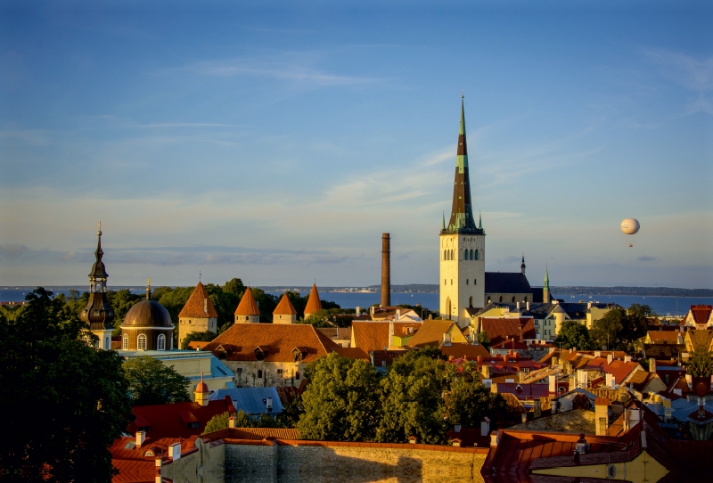 Blick über die Dächer der unteren Altstadt mit St. Olaikirche