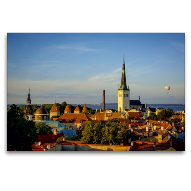 Blick über die Dächer der unteren Altstadt mit St. Olaikirche