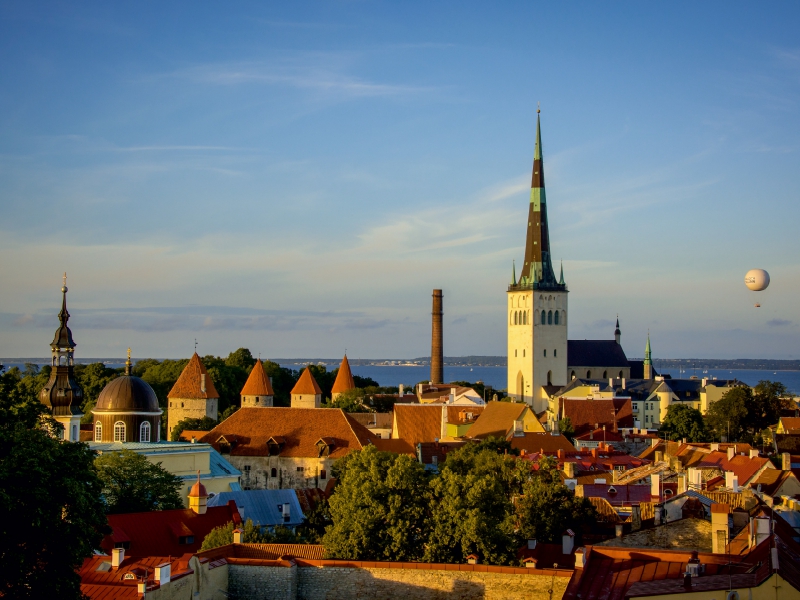 Blick über die Dächer der unteren Altstadt mit St. Olaikirche