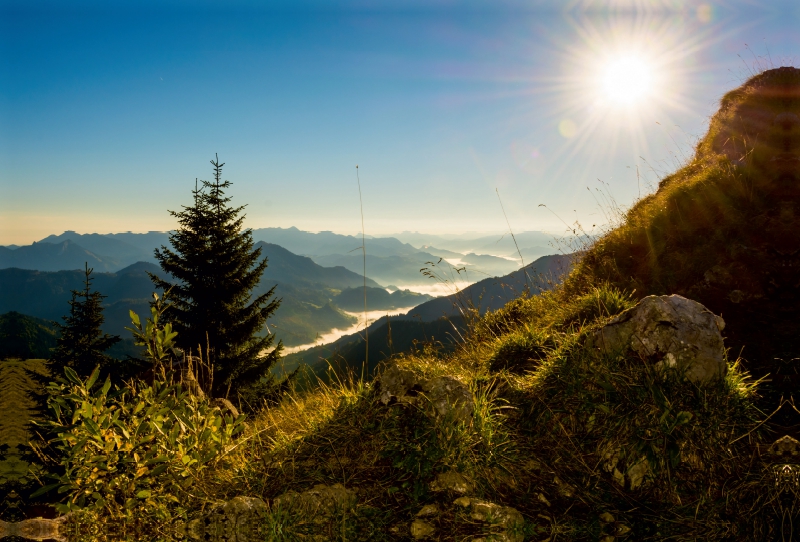 Blick vom Vogelsang ins Tal